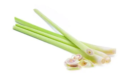 Lemon grass on a white background Foto stock
