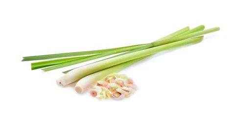 Lemon grass on a white background Stock-Fotos
