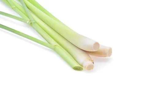 Lemon grass on a white background Stock-Fotos