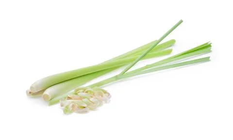 Lemon grass on a white background Stock Photos