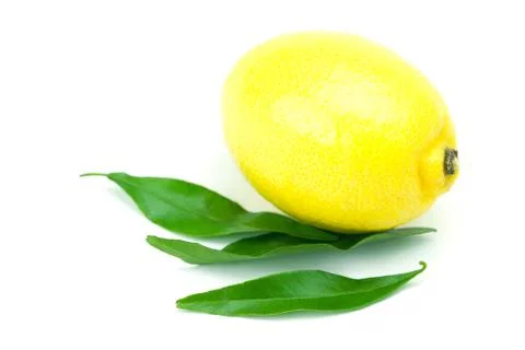Lemon with green leaf isolated on white Stock Photos
