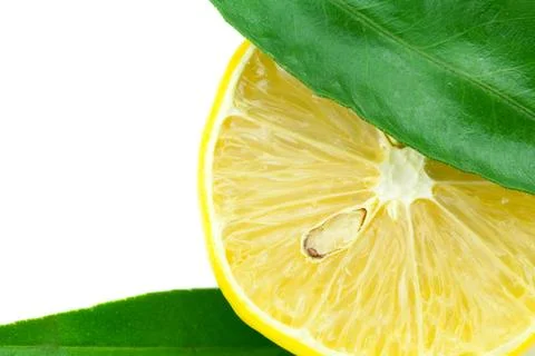 Lemon with green leaf isolated on white Stock-Fotos