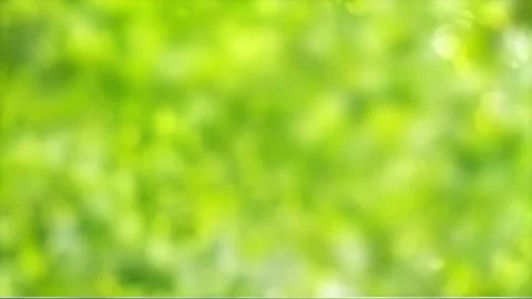 Lemon-green soft bokeh background Stock Footage 273059086