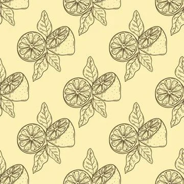 Lemon halves with leaves seamless pattern sketch Stock Illustration