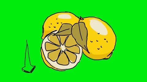 Lemon - Hand Drawn - Green Screen Stock Footage
