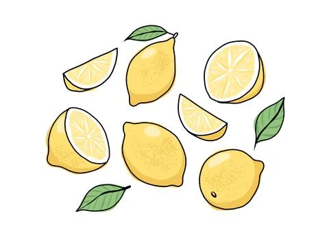 Lemon hand drawn set. Whole and sliced fruit. Vector illustration in doodle Stock Illustration