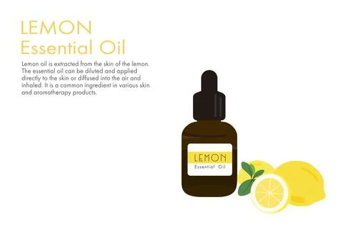 Lemon herb for essential oil extraction in medical treatment vector ep01 Illustrazione stock