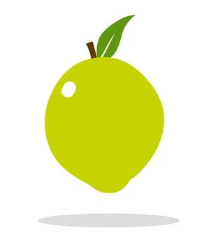 Lemon icon logo vector illustration isolated on white background Stock Illustration