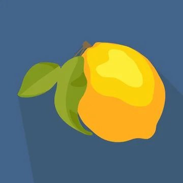 Lemon Stock Illustration