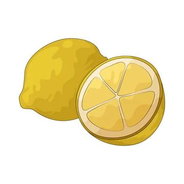 Lemon illustration Illustrazione stock