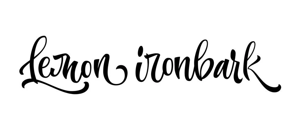 Lemon ironbark - vector hand drawn calligraphy style lettering word. Stock Illustration