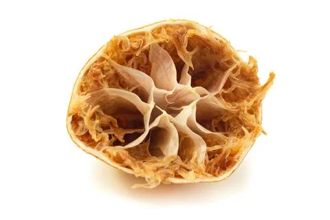 Lemon isolate. Squeezed lemon fruit after use on white background Stock Photos