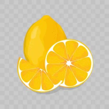 Lemon isolated vector illustration Stock Illustration