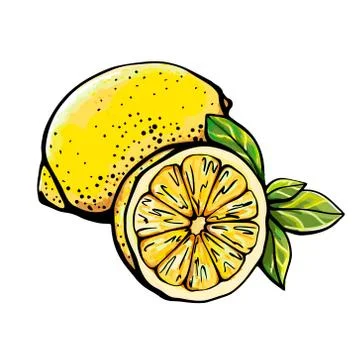 Lemon isolated on a white background Stock Illustration