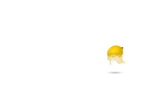 Lemon isolated on white background Stock Photos