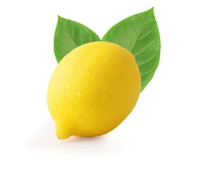 Lemon isolated on white background 库存照片