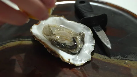Lemon juice gives the cooked shellfish an even better taste . Slow motion video. Stock Footage 231802267