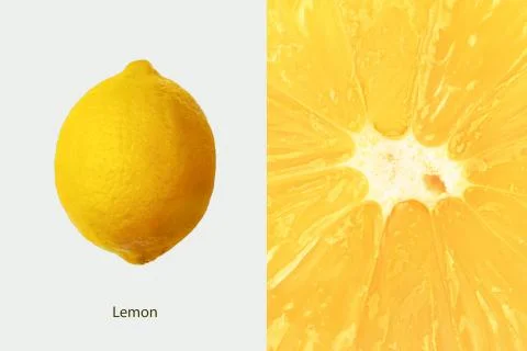 Lemon layout Stock Photos