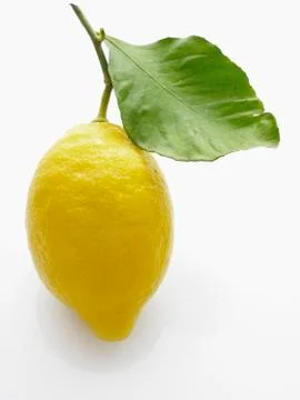 A lemon with leaf Stock Photos