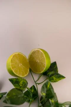 Lemon with leafs Stock Photos