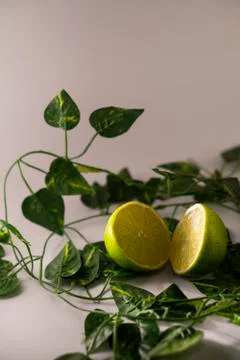 Lemon with leafs Stock Photos