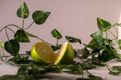 Lemon with leafs Stock Photos