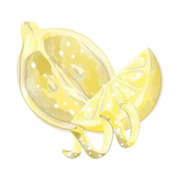 Lemon with lemon slice and peel watercolor vector Stock Illustration