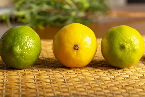 Lemon with lime on the wooden surface of the table Stock Photos