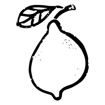 Lemon. Line art, doodle, texture outline. Hand drawing. Vector element. Stock Illustration