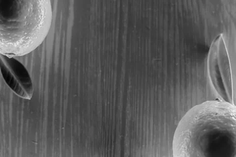 Lemon lying on a wooden table Stock Photos