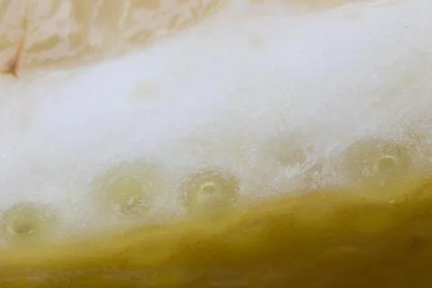 Lemon, macro, fruit, texture, yellow, peel, bubbles,  sour, toning Stock Photos