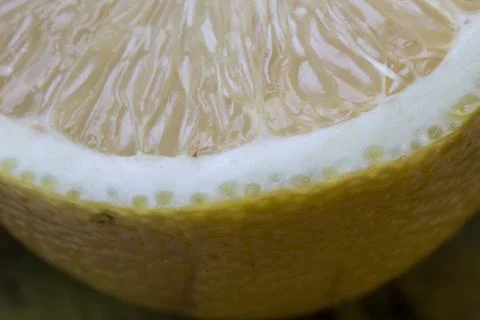 Lemon, macro, fruit, texture, yellow, peel, bubbles, sour, toning Stock Photos