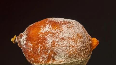 Lemon moldy mould Video stock 273698347