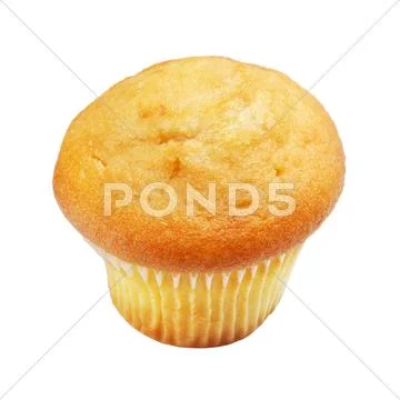 Lemon muffin Stock Photos
