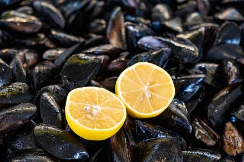 Lemon with mussels Stock Photos