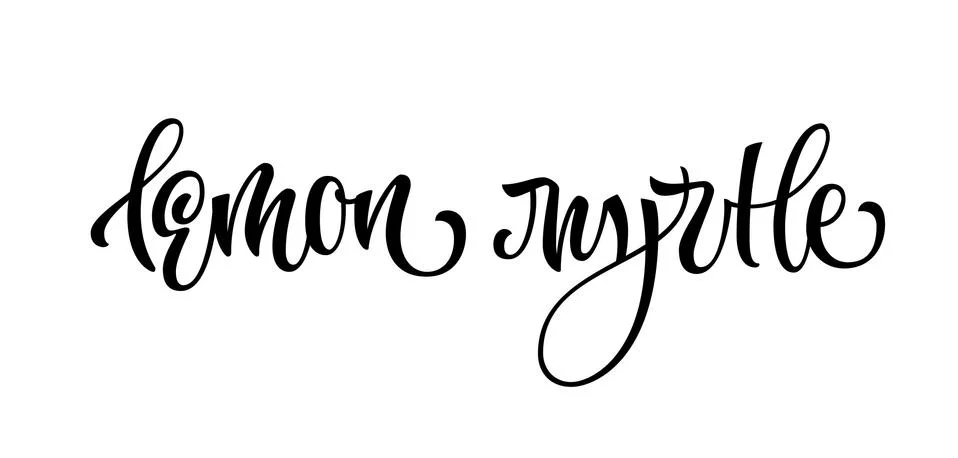 Lemon myrtle - vector hand drawn calligraphy style lettering word Stock Illustration