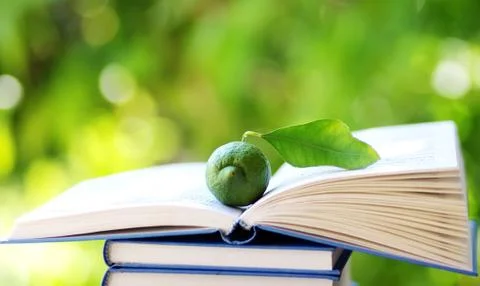 Lemon on open book Foto stock
