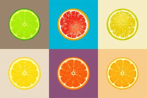 Lemon orange fruits slice vector illustration set Stock Illustration