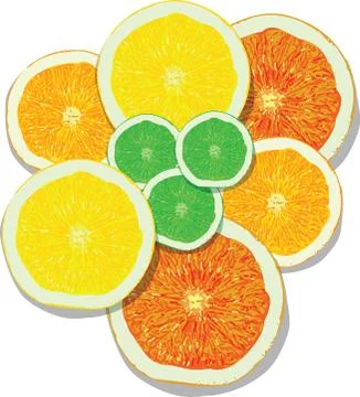 Lemon, orange, lime, grapefruit slices on white background Stock Illustration