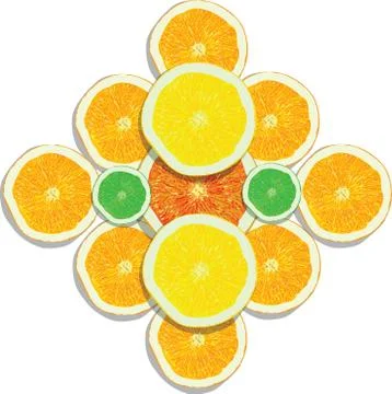 Lemon, orange, lime, grapefruit slices on white background Stock Illustration