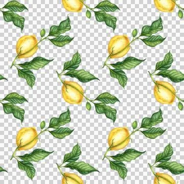 Lemon pattern and green leaves watercolor Stock Illustration