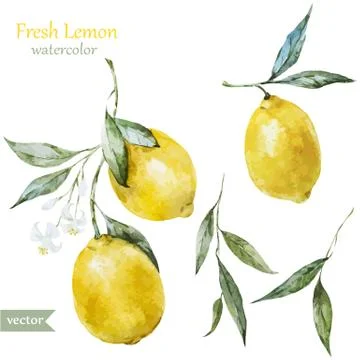 Lemon pattern Stock Illustration