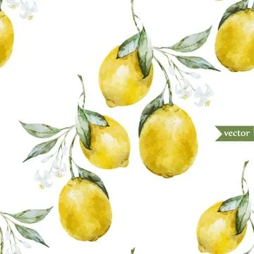 Lemon pattern Stock Illustration