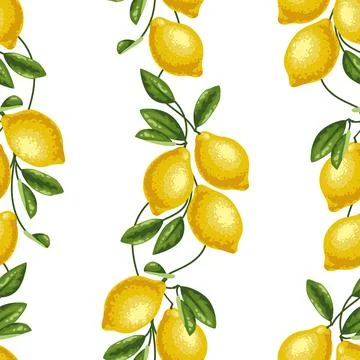 Lemon pattern on a white background, vector Stock-Illustration