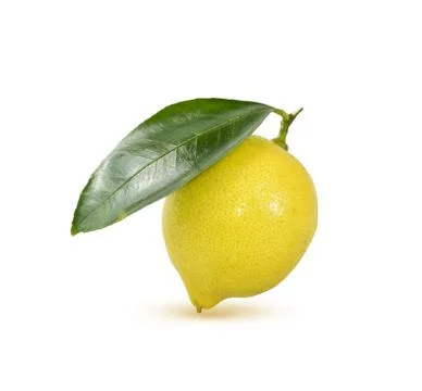 Lemon Stock Photos