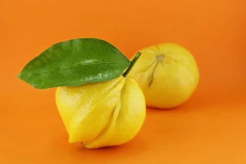 Lemon Stock Photos