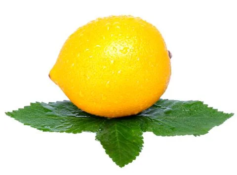 Lemon Stock Photos