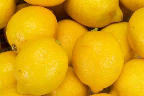 Lemon Stock Photos
