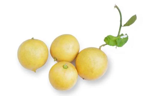 Lemon Stock Photos
