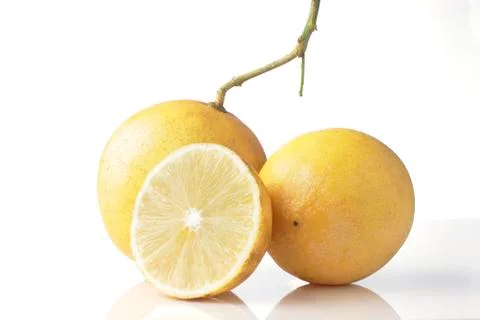 Lemon Stock Photos